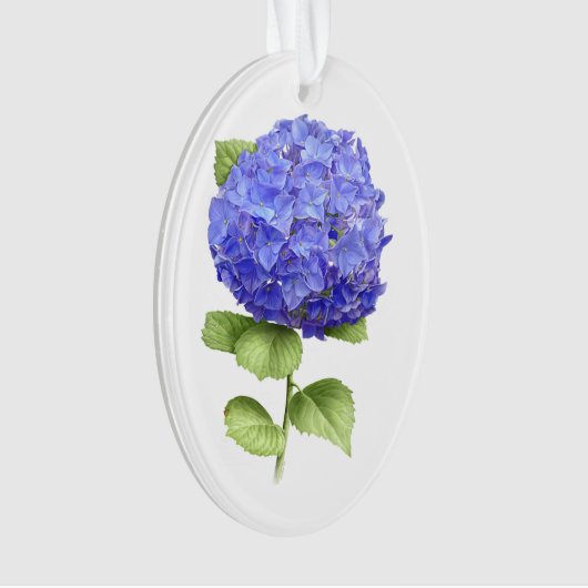 Blue Hydrangea Ornament (Vorderseite)