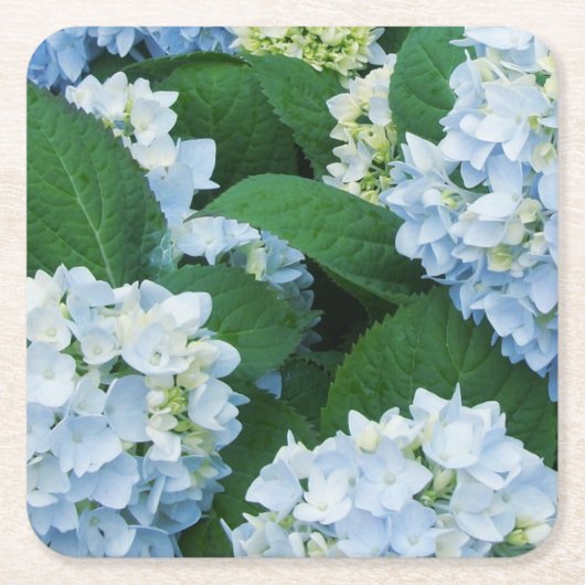Blue Hydrangea Paper Untersetzer (Vorderseite)