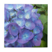 Blue Hydrangea Petals Floral Fliese (Vorderseite)