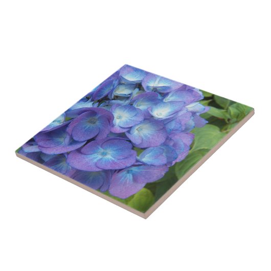 Blue Hydrangea Petals Floral Fliese (Seite)