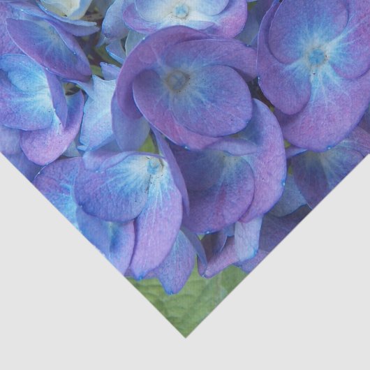 Blue Hydrangea Petals Floral Seidenpapier (Ausschnitt)