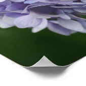 Blue Hydrangea Petals Mirror Abstrakt Poster (Ecke)