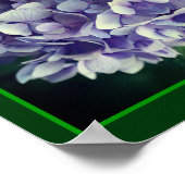 Blue Hydrangea Petals Nah Abstrakt Poster (Ecke)