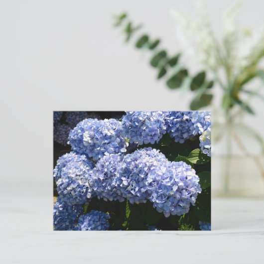 Blue Hydrangea Postcard Postkarte (Stehend Vorderseite)