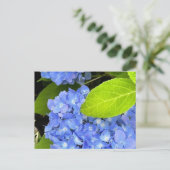 Blue Hydrangea Postcard Postkarte (Stehend Vorderseite)