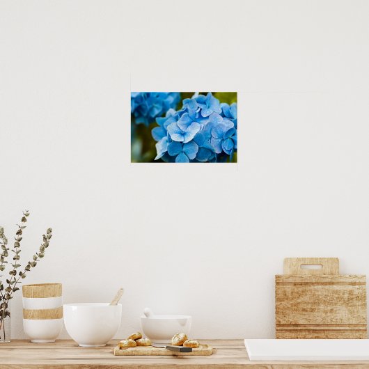 Blue Hydrangea Poster (Küche)