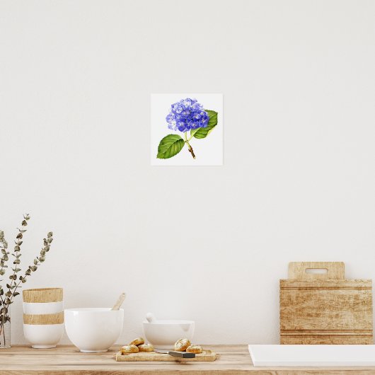 Blue Hydrangea Poster (Küche)