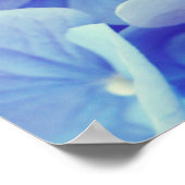 Blue Hydrangea Poster (Ecke)