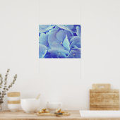 Blue Hydrangea Poster (Küche)