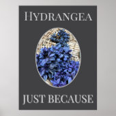 BLUE Hydrangea Poster (Vorne)