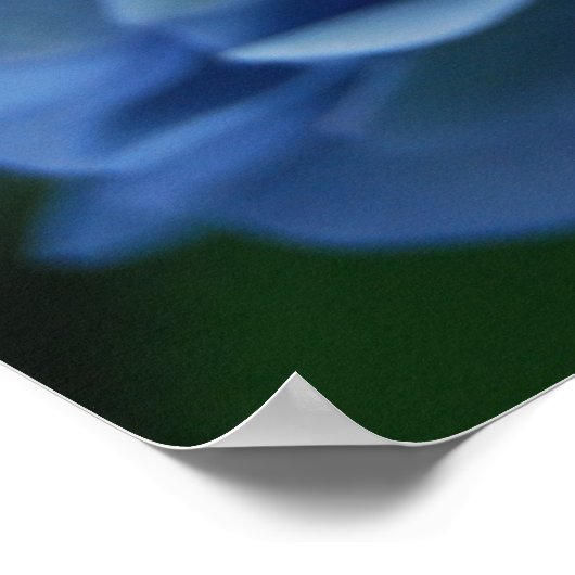 Blue Hydrangea Poster (Ecke)