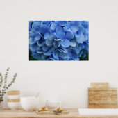 Blue Hydrangea Poster (Küche)