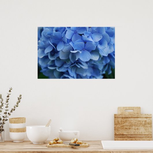 Blue Hydrangea Poster (Küche)