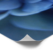 Blue Hydrangea Poster (Ecke)