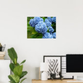 Blue Hydrangea Poster (Heimbüro)