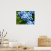 Blue Hydrangea Poster (Küche)