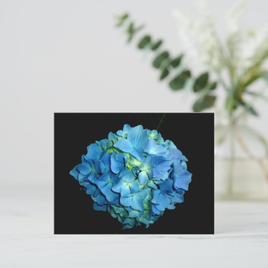 Blue Hydrangea Postkarte (Stehend Vorderseite)