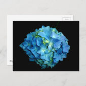 Blue Hydrangea Postkarte (Vorne/Hinten)