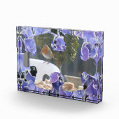 Blue Hydrangea Puzzle Piece Foto Block (Rechts)