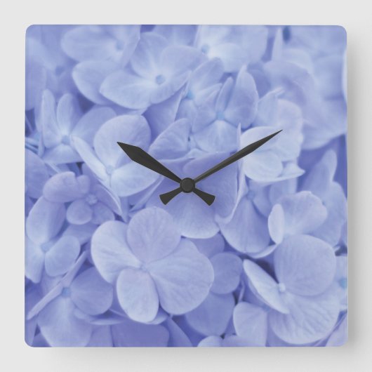 Blue Hydrangea Quadratische Wanduhr (Vorderseite)
