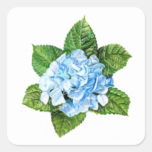 Blue Hydrangea Quadratischer Aufkleber (Vorderseite)
