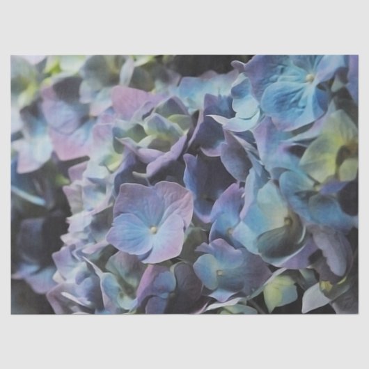 Blue Hydrangea Seidenpapier (Vorderseite)