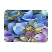Blue Hydrangea Shrub Artistic Bossom Magnet (Horizontal)