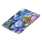 Blue Hydrangea Shrub Artistic Bossom Magnet (Linke Seite)