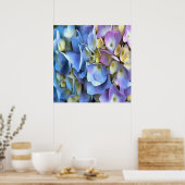 Blue Hydrangea Shrub Artistic Bossom Poster (Küche)