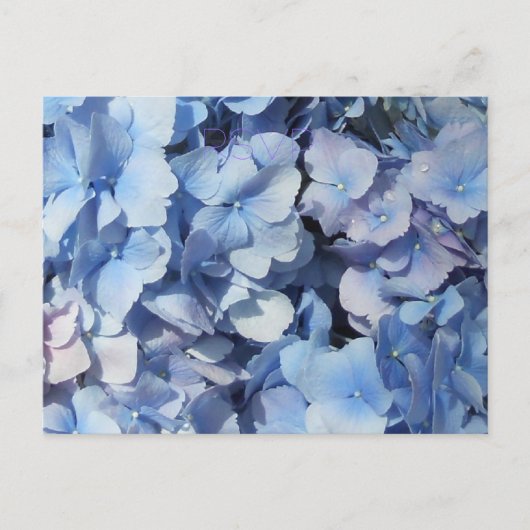Blue Hydrangea UAWG Wedding Einladungspostkarte (Vorderseite)