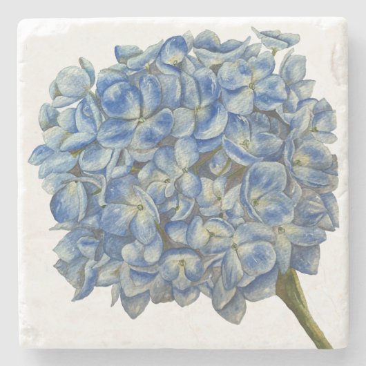 Blue Hydrangea Untersetzer (Vorderseite)