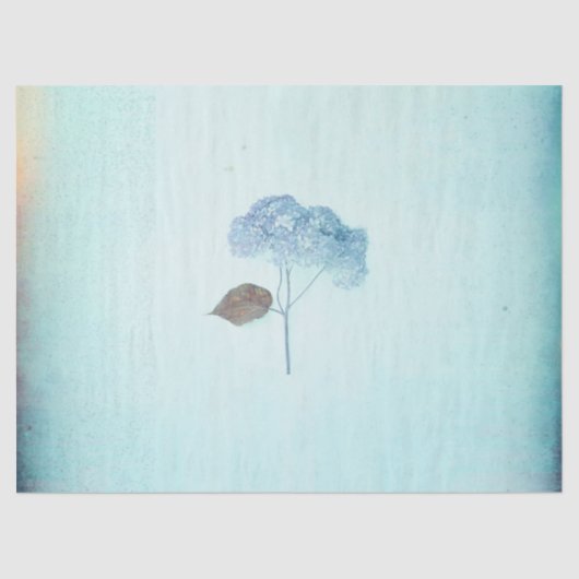 Blue Hydrangea Vintage Blüte Rustikale Antike Seidenpapier (Vorderseite)