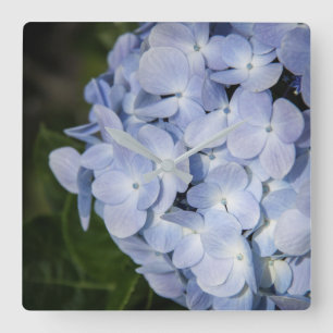 Blue Hydrangea Wall Clock Quadratische Wanduhr