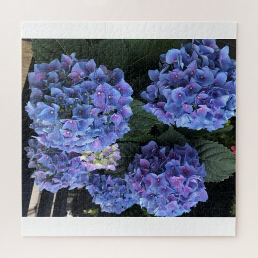 Blue Hydrangea Zigsaw Puzzle (Horizontal)