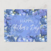 Blue Hydrangeas Blooms Muttertag Postkarte (Vorderseite)