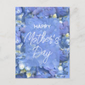 Blue Hydrangeas Blooms Muttertag Postkarte (Vorderseite)