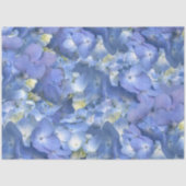 Blue Hydrangeas Blooms Seidenpapier (Vorderseite)