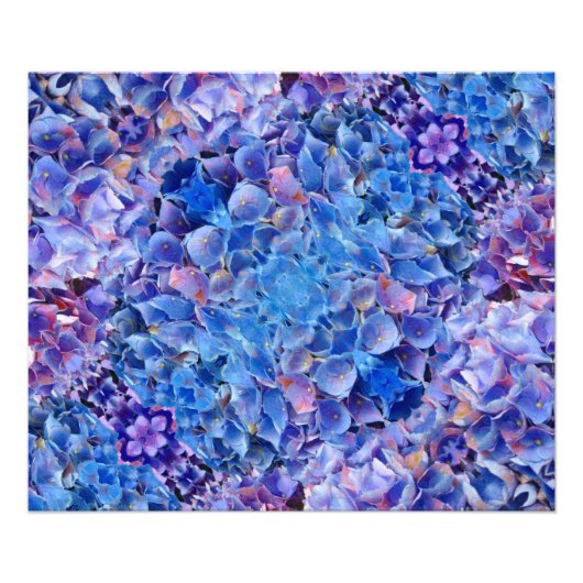 Blue Hydrangeas Blume Foto Print (Vorne)