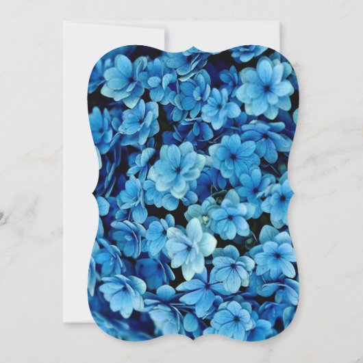 Blue Hydrangeas Blume Verlobung Einladung (Rückseite)