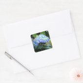 Blue Hydrangeas Flowers Floral Nature Photography Quadratischer Aufkleber (Umschlag)