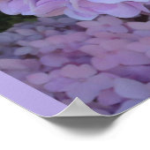Blue Hydrangeas (Foto) Poster (Ecke)