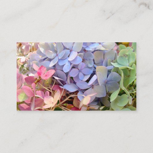 Blue Hydrangeas Kinderzimmer Pflanze Business Card Visitenkarte (Rückseite)