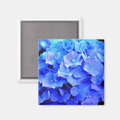 Blue Hydrangeas Kühlschrank Magnet (Vorderseite/Rückseite)