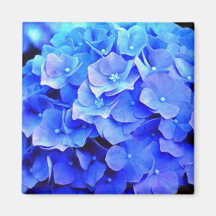 Blue Hydrangeas Kühlschrank Magnet