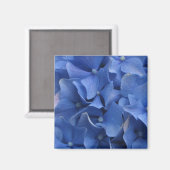 Blue Hydrangeas Magnet (Vorderseite/Rückseite)