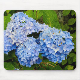 Blue Hydrangeas Mousepad