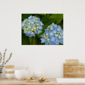 Blue Hydrangeas Poster (Küche)