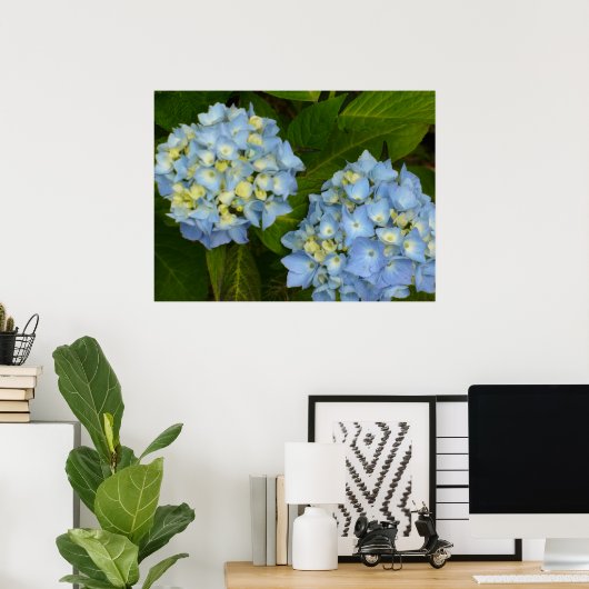 Blue Hydrangeas Poster (Heimbüro)