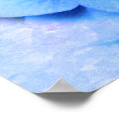 Blue Hydrangeas - Poster (Ecke)