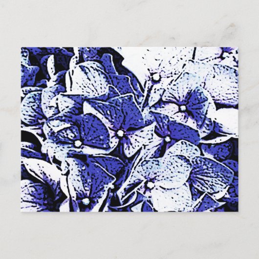 Blue Hydrangeas Postkarte (Vorderseite)